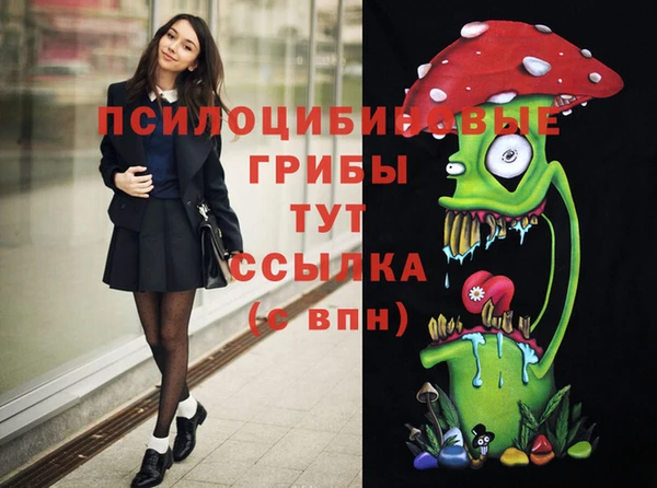 МДПВ Армянск