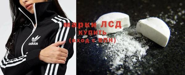 ГАЛЛЮЦИНОГЕННЫЕ ГРИБЫ Аркадак