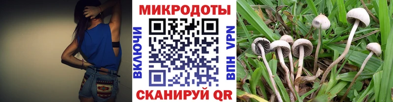 Галлюциногенные грибы ЛСД  Нижнеудинск 